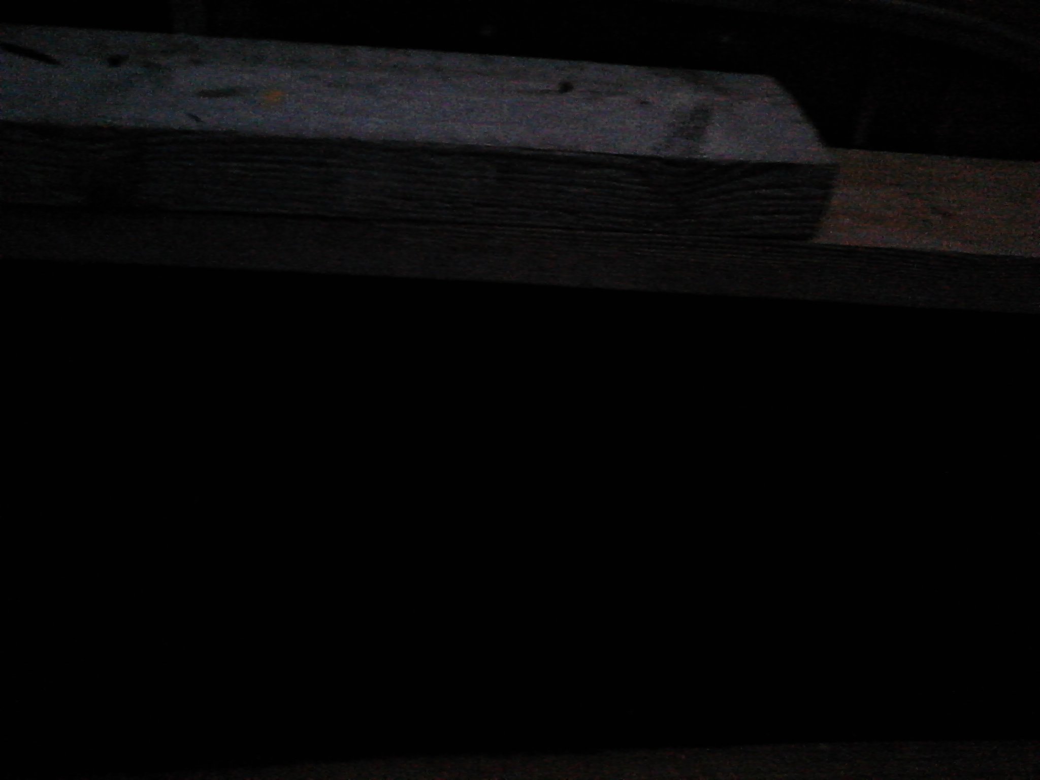 IMG1591.jpg